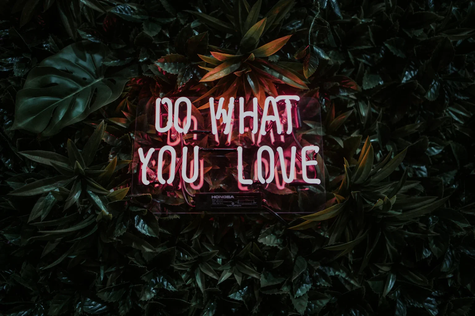Led-neon tekst op een groene plantenwand in een ontvangstruimte
